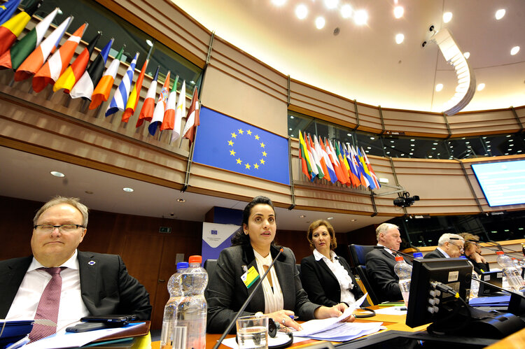 Anila Noor EU