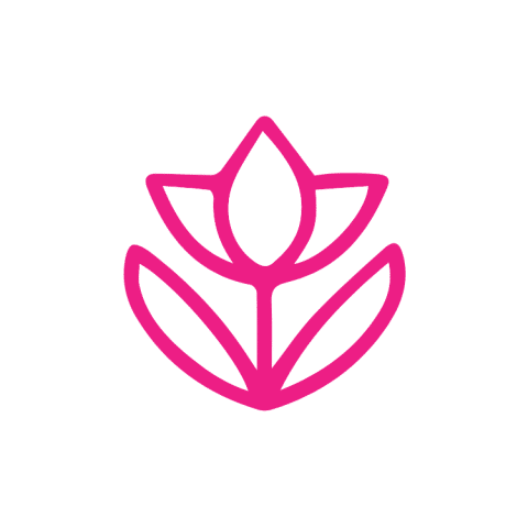 Illustration of a pink flower