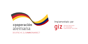 Logo GIZ