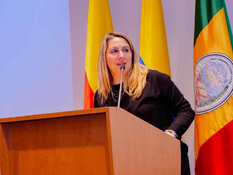 Festival Hola América 2024